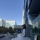 스노우비 | 서울 마곡역 카페 <커피기업 마곡점> 후기ㅣ커피기업은 '스노우비엔나 하나요' 말하면서 입장하세요