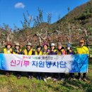 신기루농장 Daum카페