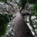 gc-camera-033 이미지