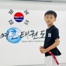 일여혼태권도장 이미지