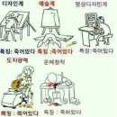여시