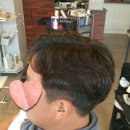 봄이꽃피다 이미지