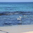 동해 바다 게스트하우스 이미지