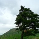 좋은아침 이미지