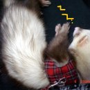 대인병원 이미지