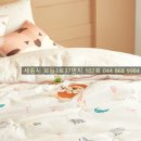 거북이침구