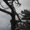 모둘자리 이미지