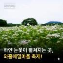 또 와흘 이미지