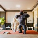 달빛구이 이미지