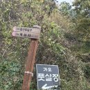 제이스터치 아카데미 | 대전 가오동 풋살장 풋살 레슨 : 제이스풋살아카데미