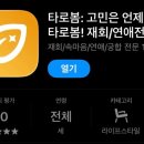 봄타로카페 | [타로봄 후기] 전화타로 상담 솔직하고 담백하게 받아봤다
