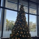 스트레칭 | 강남구체형교정 ASC스트레칭 패시브스트레칭 후기