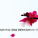 하나님이 주시는 감동을 경험하라(딤후3:15-17) 이미지