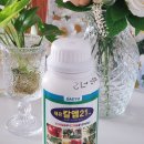 대유개발 | 식물영양제 대유 칼엠 21, 서인천농협 영농자재센터