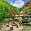 홍천강RIO펜션 이미지