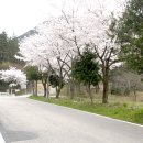 사천리아리랑비 이미지