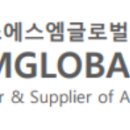 에스에스엠 글로벌 이미지