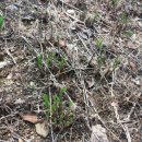 종근농장 이미지