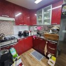 목화(2차) 이미지