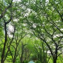 양재천 Bplate 비플레이트 바이 브라운브레드