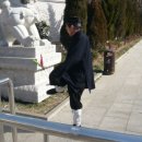 금성카 Daum카페