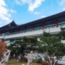 단양 구인사 단풍 이미지