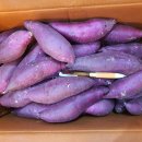 청솔청과 이미지