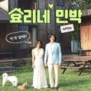 지혜민박 이미지