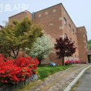 용인효사랑 이미지