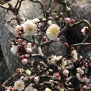 (주)지산농원 이미지