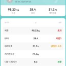 작은나무한의원 이미지