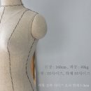 (주)더재인