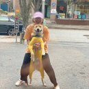 천명농장 이미지