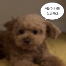 맥스피드PC방 태릉역점 | 저는 회피회피회피형입니다.