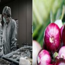 인계 블리비의원 이미지