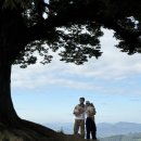 성흥산 화장실 이미지