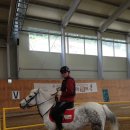 하얀마을펜션 이미지