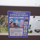 스테이사룡 이미지