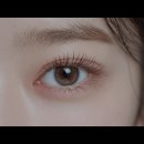 윙크속눈썹