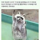 운이좋아 네이버블로그