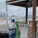 봄날포차 티스토리
