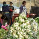 사회복지법인 마음편한집 이미지