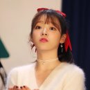 내차애