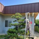 철마우체국 이미지