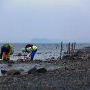 갯벌부흥펜션 이미지