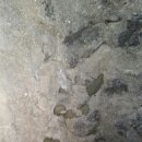 금서방네이층집 | #제주도게스트하우스 금서방네이층집 주변정리