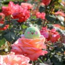 광장로 37 이미지