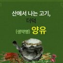 약초와산이야기 이미지