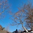 1765 | 강원도 여행 숙소 강력추천!!_1765삽교 스테이 내돈내산 후기