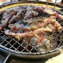 갈매기먹짱 이미지